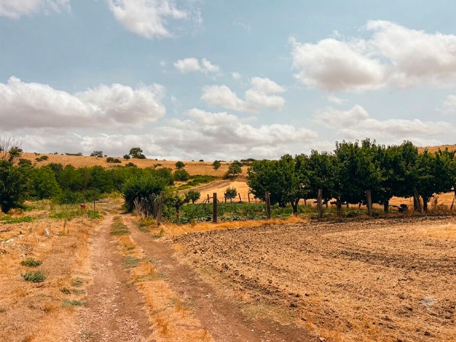 Sentiero di campagna